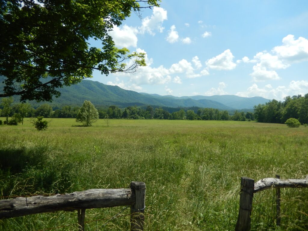 Great Smoky Mountains Field