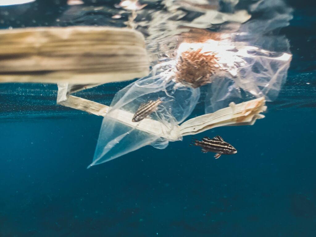 Plastic in the ocean 