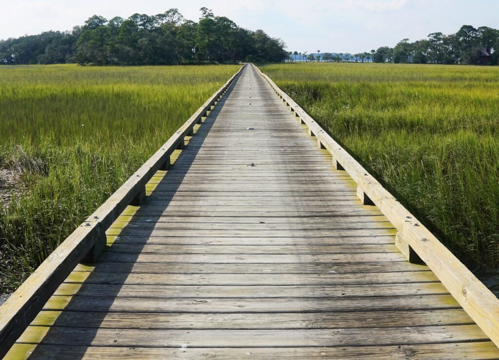 A boardwalk over the marsh